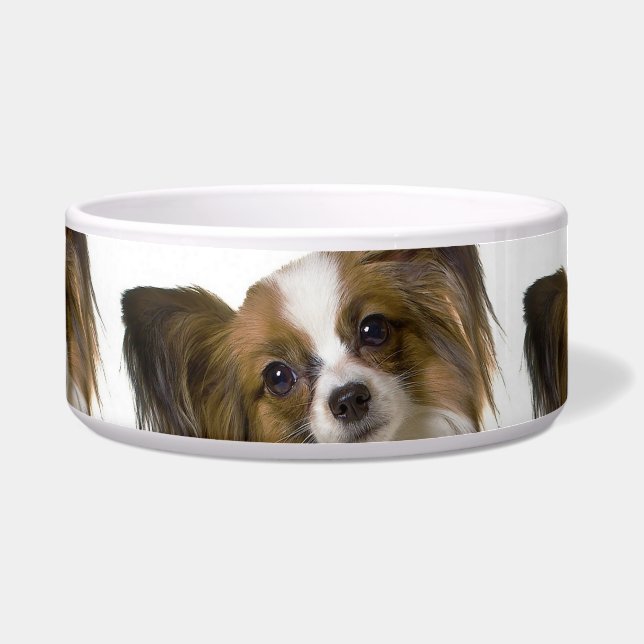 papillon.png (Front)