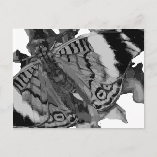 papillon postcard