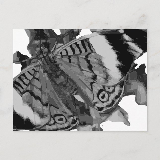 papillon postcard (Front)