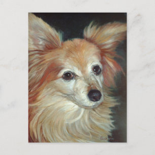 Papillon Postcard