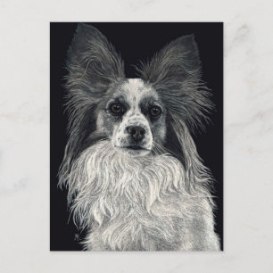 Papillon Postcard - "Sparkles"
