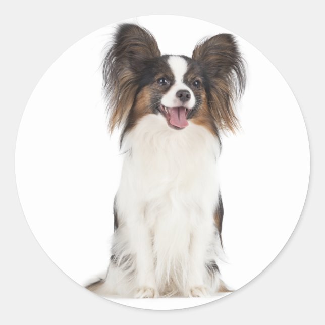 Papillon Puppy Dog - Love Puppies Classic Round Sticker (Front)