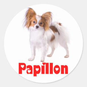 Papillon Puppy Dog - Love Puppies, Hello Classic Round Sticker