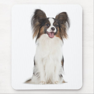 Papillon Puppy Mom Dog Lover  Puppies Fur Mama Mouse Mat