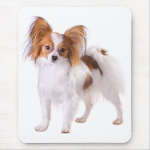 Papillon Puppy Mom Dog Lover  Puppies Fur Mama Mouse Mat