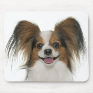 Papillon Puppy Mom Dog Lover Puppies Fur Mama Mouse Mat