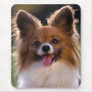 Papillon Puppy Mum Dog Lover Fur Mama Puppies Mouse Mat