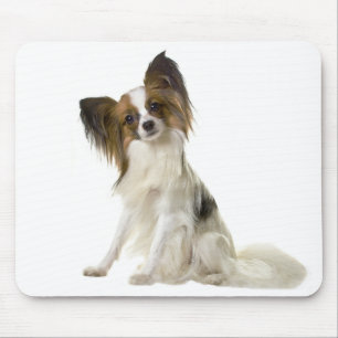 Papillon Puppy Mum Dog Lover Puppies Fur Mama Mouse Mat