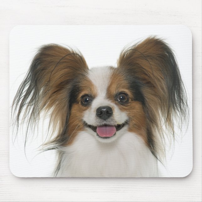 Papillon Puppy Mum Dog Lover  Puppies Fur Mama Mouse Mat (Front)