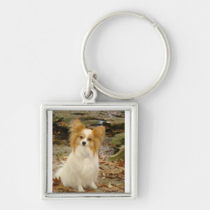 Papillon sitting.png key ring