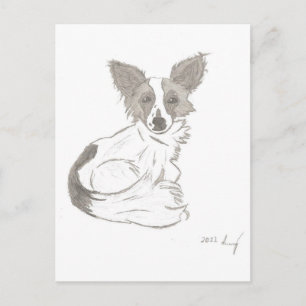 Papillon Sketch Postcard