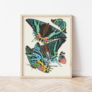 Papillons   Emile-Allain Séguy Poster