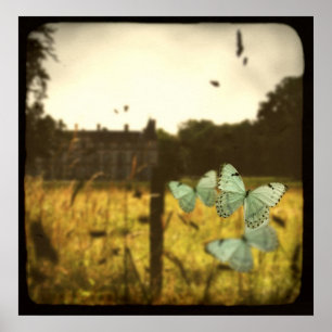Papillons Poster