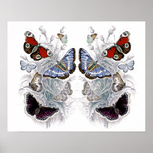 papillons poster