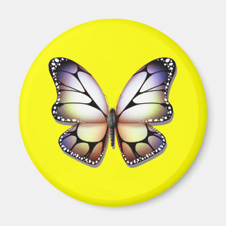 papion magnet