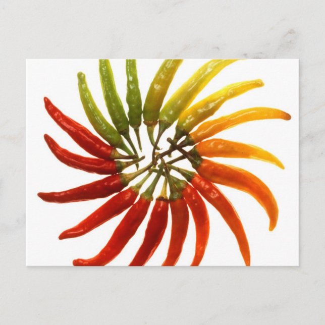 Paprika Postcard (Front)