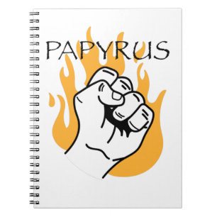 papryus notebook