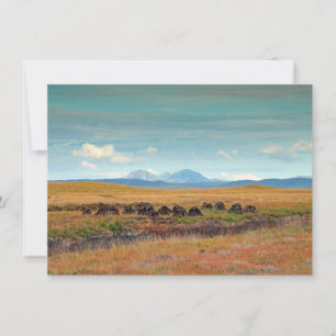 Paps of Jura from Islay, Scotland card