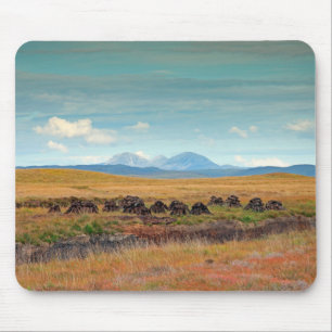 Paps of Jura from Islay, Scotland Mouse Mat