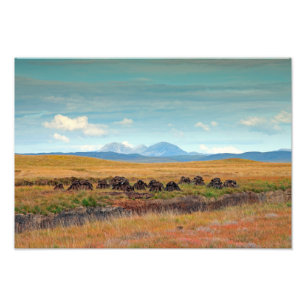 Paps of Jura from Islay, Scotland Photo Print