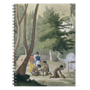 Papu tribe on the Isle of Rawak, plate 20 from 'Le Notebook
