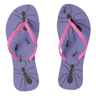 PAR OF CHINELS GIANT ANTS FLIP FLOPS