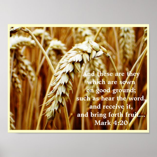 Parable of the Sower Poster (Front)