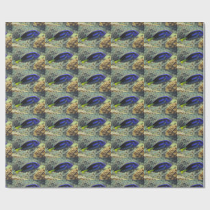Paracanthurus hepatus wrapping paper