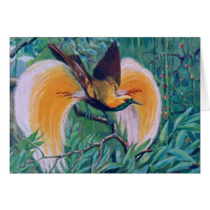 Paradise Bird Card