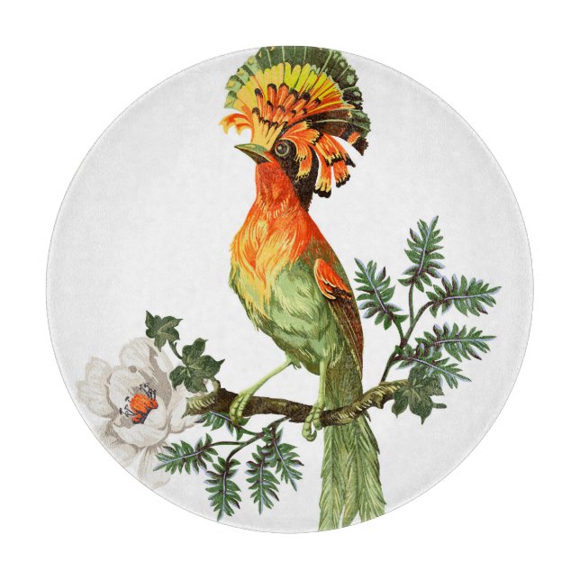 Paradise Birds: Exotic Floral Background Cutting Board (Front)