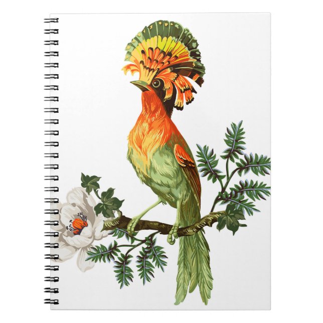 Paradise Birds: Exotic Floral Background Notebook (Front)