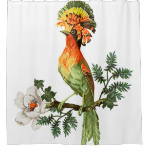 Paradise Birds: Exotic Floral Background Shower Curtain