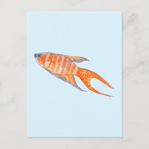 Paradise Fish, Watercolor. Postcard