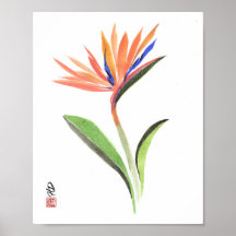 Paradise in Bloom