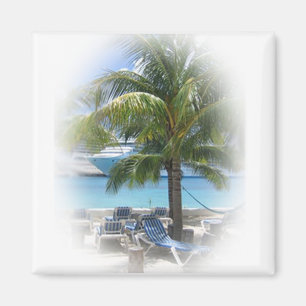 Paradise Magnet