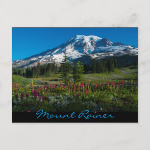 Paradise meadows wildflowers postcard