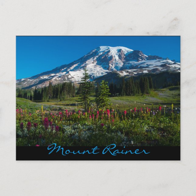 Paradise meadows wildflowers postcard (Front)