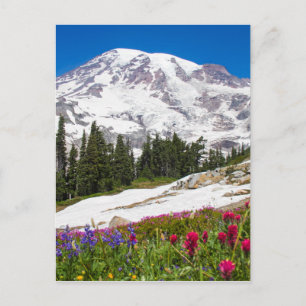 Paradise Mt. Rainer Postcard