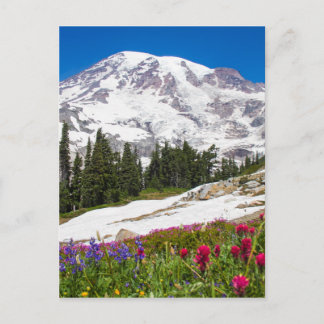 Paradise Mt. Rainer Postcard