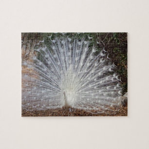 Paradise Peacock Jigsaw Puzzle