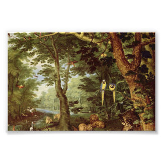 Paradise Photo Print