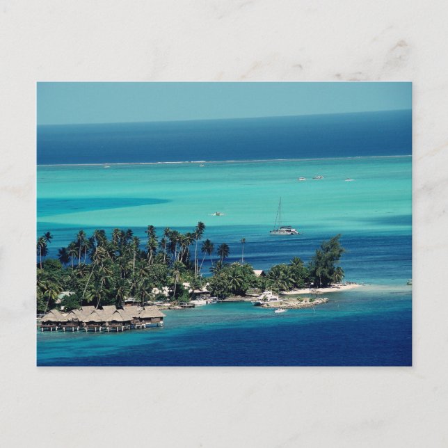 Paradise Postcard (Front)