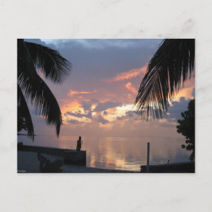 Paradise Postcard
