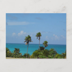 paradise postcard