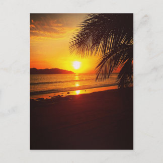 Paradise sunset postcard