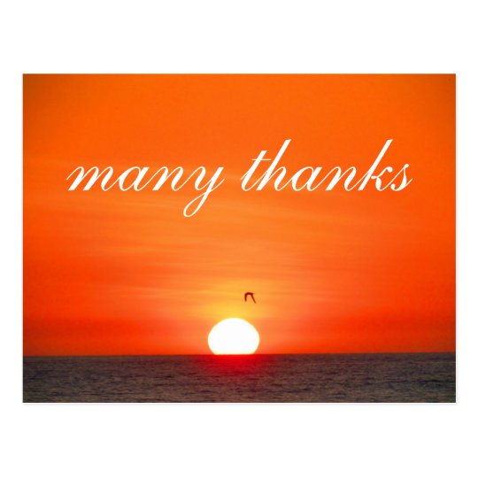 Paradise Sunset Thank You Postcards