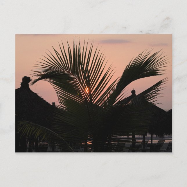 Paradise Village - Puerto Vallarta, Mexico Postcard (Front)