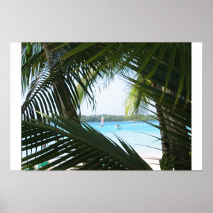 Paradise Window Poster