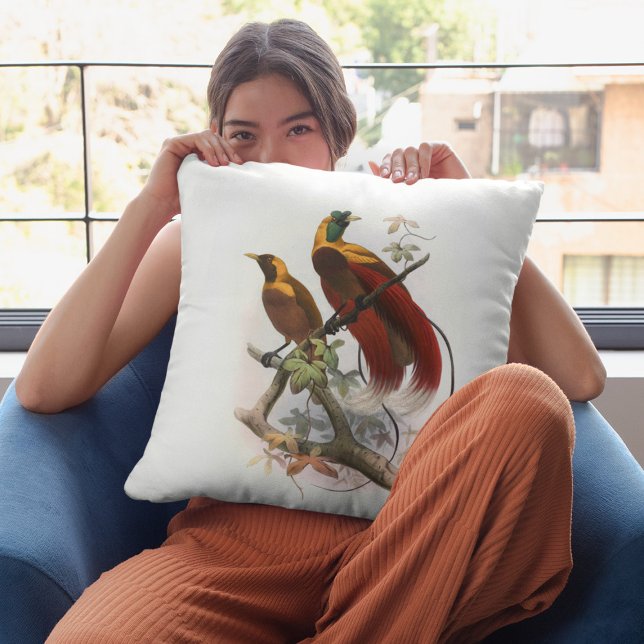 Paradisea sanguinea (1873)  cushion (Creator Uploaded)