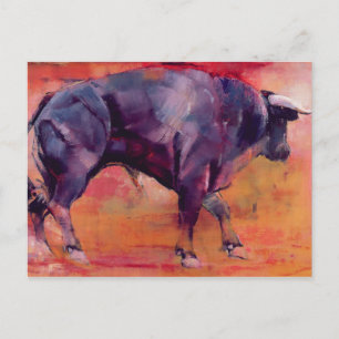 Parado 1999 postcard